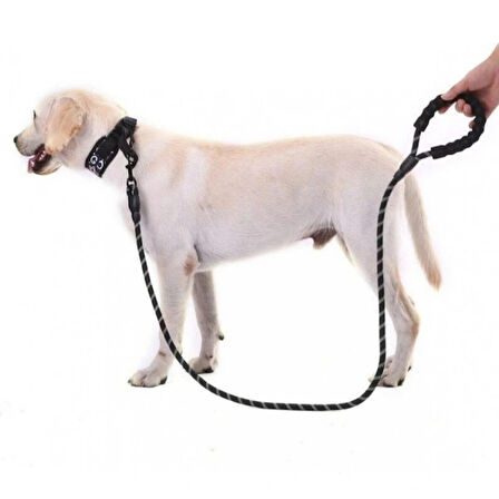 MDB Evcil Hayvan Reflektörlü Fitil Gezdirme Tasması 12 mm x 120 cm