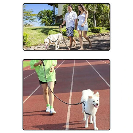 MDB Evcil Hayvan Reflektörlü Fitil Gezdirme Tasması 12 mm x 120 cm