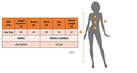 Kadın Uzun Kollu Kayık Yaka Kısa Triko Elbise