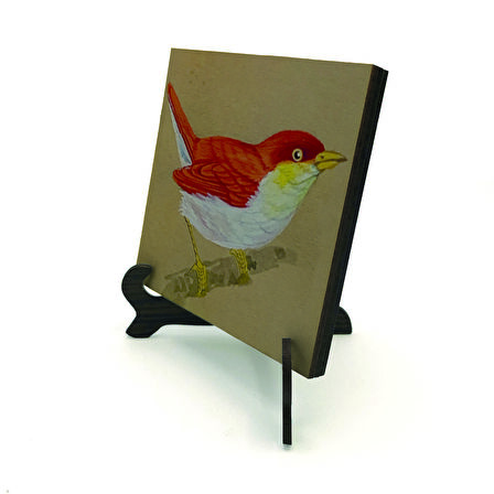 KuşBaskılı MDF Masaüstlük