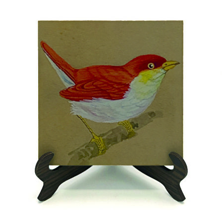 KuşBaskılı MDF Masaüstlük