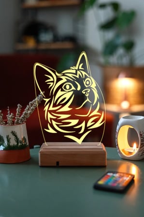 Kedi 3d 16 Renk Gece Lambası