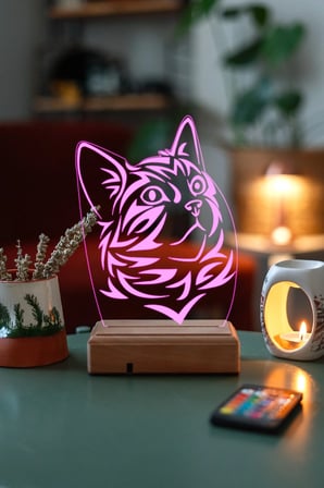 Kedi 3d 16 Renk Gece Lambası
