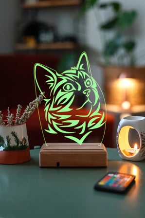 Kedi 3d 16 Renk Gece Lambası