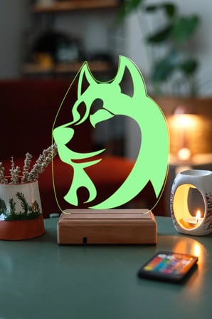 Husky Köpek Gece Lambası 3d 16 Renk
