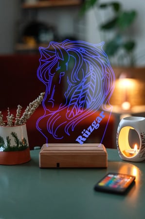 Kişiye Özel 3D Tüylü At 16 Renk Dekoratif Led Lamba