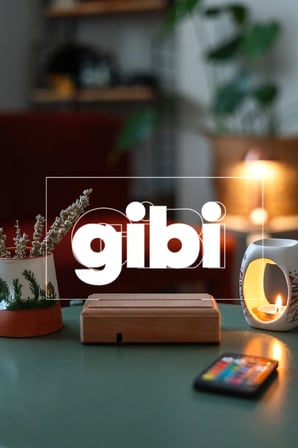 Gibi Dizi 16 Renkli Kumandalı Gece Lambası