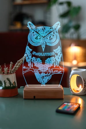 Hediyelik Fantastik Baykuş 3d 16 Renkli Kumandalı Dekoratif Lamba