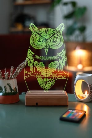 Hediyelik Fantastik Baykuş 3d 16 Renkli Kumandalı Dekoratif Lamba