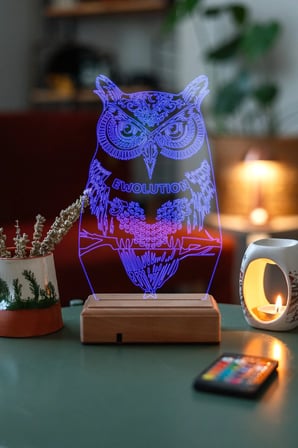 Hediyelik Fantastik Baykuş 3d 16 Renkli Kumandalı Dekoratif Lamba