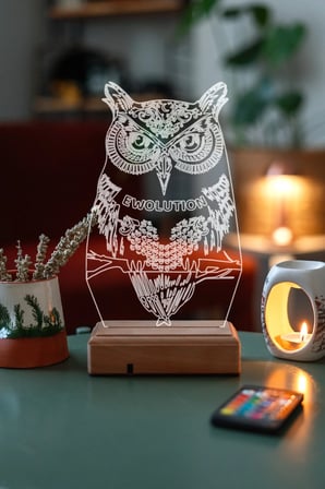 Hediyelik Fantastik Baykuş 3d 16 Renkli Kumandalı Dekoratif Lamba