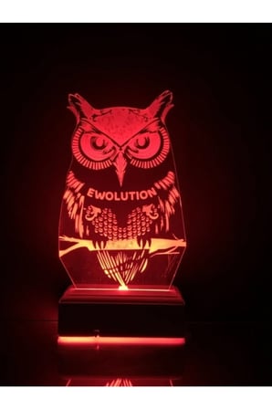 Fantastik Baykuş 3d 16 Renk Gece Lambası
