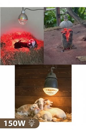 150W Kızılötesi (infrared) Isıtıcılı Hayvan Isıtma ve Kuluçka Lambası (Kırmızı Işık) E27 (Kalın Duy)