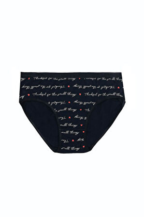 Büyük Beden Pamuklu Likralı Karışık Renkli 3'lü Külot