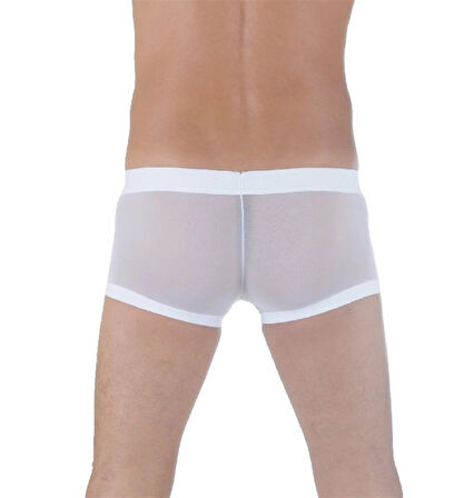 DM291125 Transparan Boxer