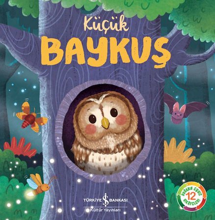 Küçük Baykuş - Doğanın Eşsiz Hikayeleri 12
