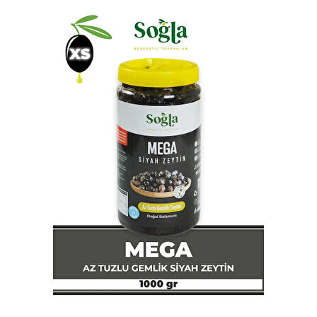 Mega Gemlik Zeytini 1000g