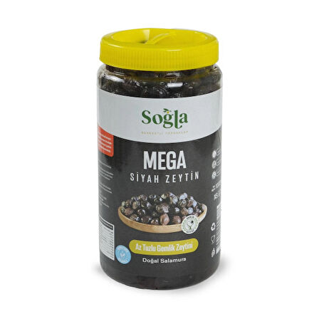 Mega Gemlik Zeytini 1000g