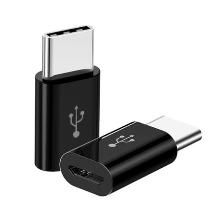 ZR393 Micro Type-C Çevirici