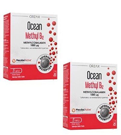 Ocean Methyl B12 Sprey 1000 mg 5 ml 2 Adet