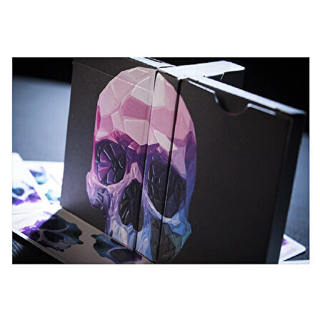 Bicycle Memento Mori NXS Oyun Kağıdı Limited Edition Koleksiyonluk iskambil Kartları Destesi