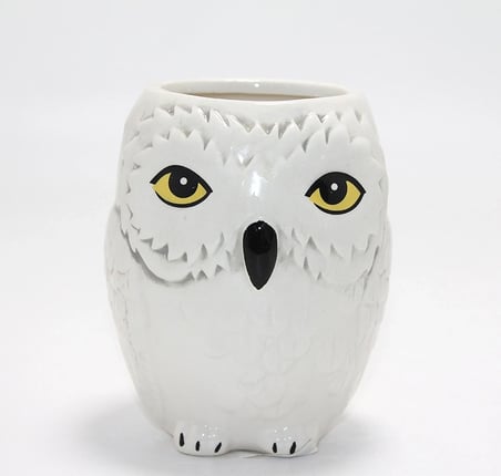 Harry Potter Hedwig Tasarım Porselen Kupa Bardak Alk4494