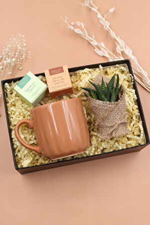 Kahverengi Kupa & Canlı Sukulent Çiçek & 2'li Bitki Çayı Hediye Seti