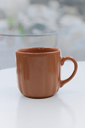 Kahverengi Kupa & Canlı Sukulent Çiçek & 2'li Bitki Çayı Hediye Seti