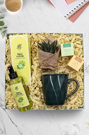 Nature Kolonya & Sukulent & 2'li Bitki Çayı & Yeşil Kristal Kupa Hediye Seti