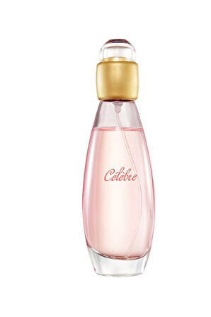 Pembe 500 ML Dereceli Termos & T Kupa & Taşlı Mikail Melek Kolye & Celebre Parfüm Kadına Hediye Seti