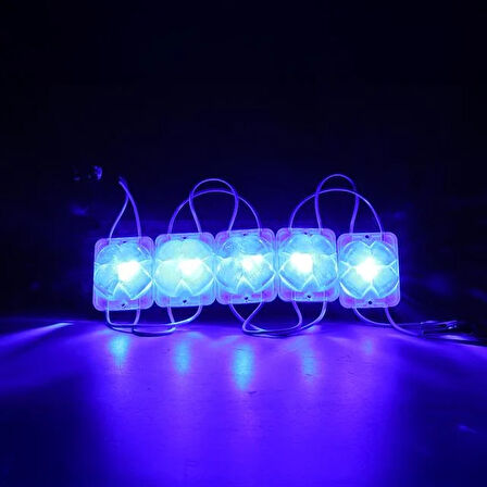 Powermaster 12 Volt 2 Watt Mavi Sabit 4333-3030 Modül Led