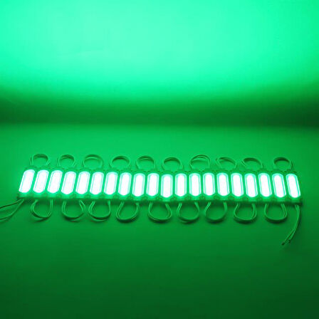 POWERMASTER 12 VOLT 2 WATT YESİL MODUL LED 68X16 MM