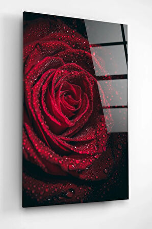 Rose Cam Tablo, Dekoratif Cam Tablo