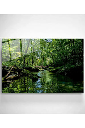 Manzara Cam Tablo, Dekoratif Cam Tablo