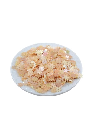 8 mm Ortadan Delikli Papatya Pul Janjanlı Ortadan Delikli (22 Gr)
