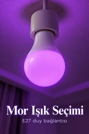 Mey İthalat® Uzaktan Kumandalı RGB LED Ampul 16 Renk Ayarlı