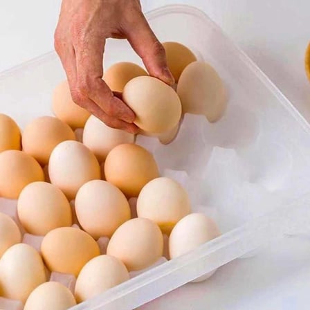 Mey İthalat® 30lu Yumurta Saklama Kabı