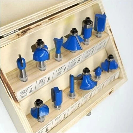 CEYLAN ADAM Topshop 03039 8 mm 12 Parça Ahşap Freze Uç Seti