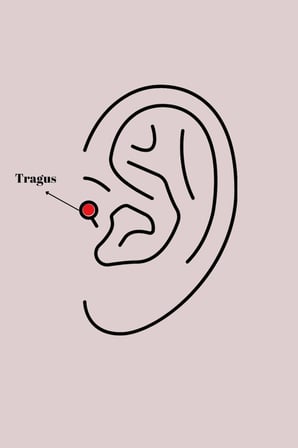 Mey İthalat® 316L Çelik Gümüş Renk Zirkon Taşlı Kurdele Tragus Piercing