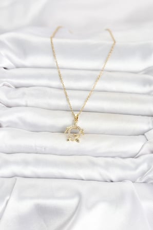 Mey İthalat® 316L Çelik Zincir Gold Renk Caretta Caretta Model Kadın Kolye