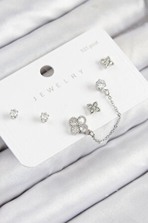 CEYLAN ADAM Pirinç Zirkon Taşlı Yonca Model Gümüş Renk 925 Ayar Gümüş Çivi Kadın Küpe Set