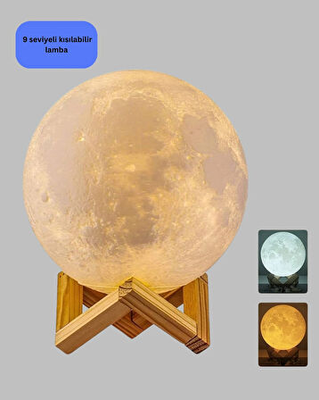 CEYLAN ADAM Ahşap Standlı 3D Baskı Ay Lambası 16 Renkli ve Şarjlı Uzaktan Kumandalı