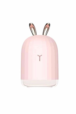 CEYLAN ADAM Led Işıklı Hava Nemlendirici Buhar Makinesi Dekoratif Aromaterapi