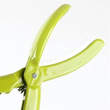 CEYLAN ADAM  Kestane Çizici Chesnut Cutter