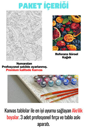 Sayılarla Boyama Çerçeveli Hobi Seti Numaralı Tuval Fırça Boya Dahil Kasnaklı MEYVELER 40X50 Cm