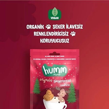 CEYLAN ADAM   Humm Organik Zencefilli ve Tarçınlı Vegan Kurabiye 55 Gr