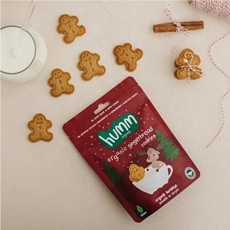 CEYLAN ADAM   Humm Organik Zencefilli ve Tarçınlı Vegan Kurabiye 55 Gr