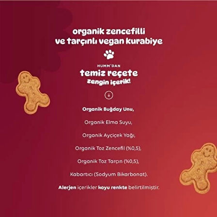 CEYLAN ADAM   Humm Organik Zencefilli ve Tarçınlı Vegan Kurabiye 55 Gr