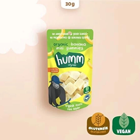 CEYLAN ADAM   Humm Organik Muzlu Glutensiz Vegan Mini Küpler 30 Gr