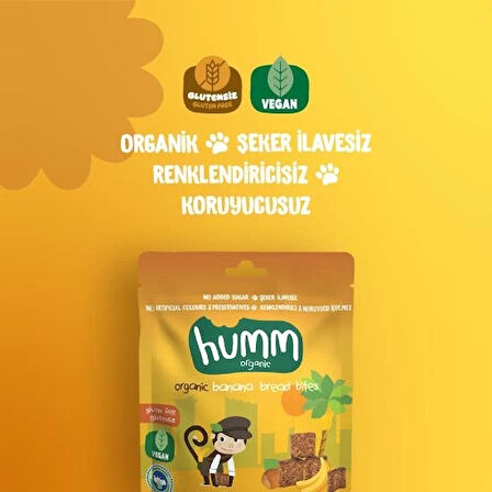 CEYLAN ADAM   Humm Organik Glutensiz Vegan Muzlu Kek 30 Gr